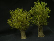 Tree sets