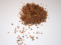 Autumn Leaves 8 colours