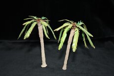  Palm trees set B (Europe/ Africa)