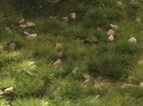 Scenery grass mat &quot;early Summer &quot; with stones