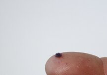   Lavender 2mm   (+/- 250 tuffts)