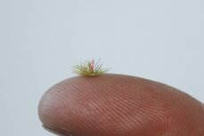 Green coloured grass tufts 2mm (+/- 260)