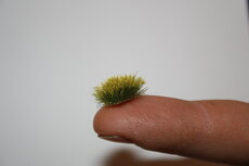  Yellow flowering tufts (+/- 260 tufts)