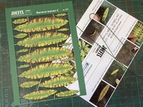 Banana leaves C- 1/35 to 1/18