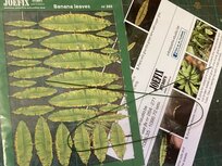 Banana leaves - 1/35