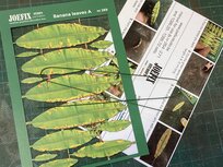 Banana leaves A- 1/35 to 1/18