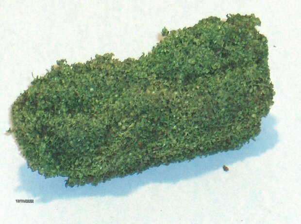 Hedge (ostra) fine leaves