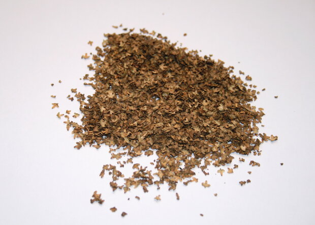 Brown Leaves (autumn)