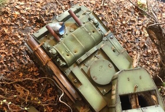 Brown Leaves (autumn)