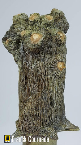 photo : Franck Cornede