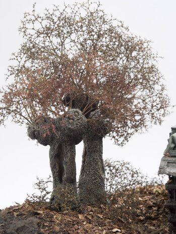 set pollard willow (1/48) european style