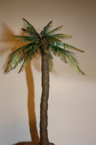 palm trees set A (Asia type)