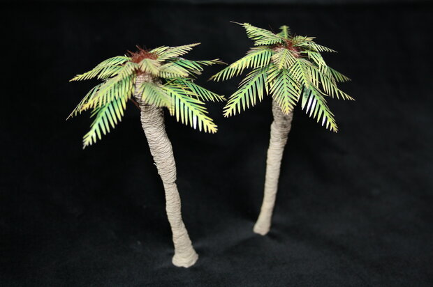 palm trees set A (Asia type)