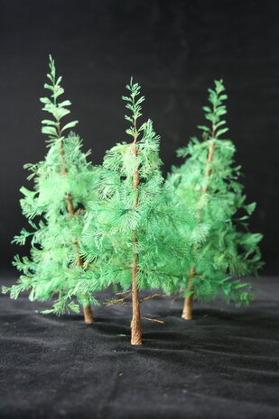 Pine trees set 1/72