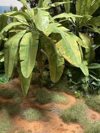  Banana trees set 1/48