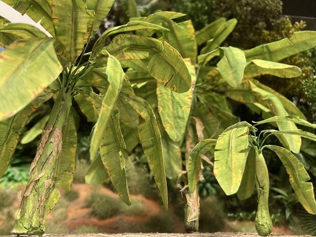 Banana trees set 1/72