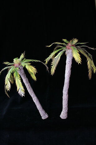  Palm trees set B (Europe/ Africa)