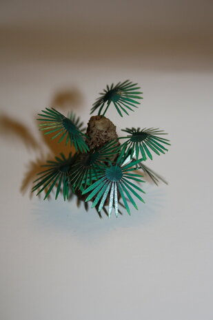 Palm trees set C  1/48