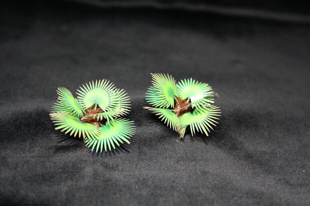 Palm trees set C  1/48