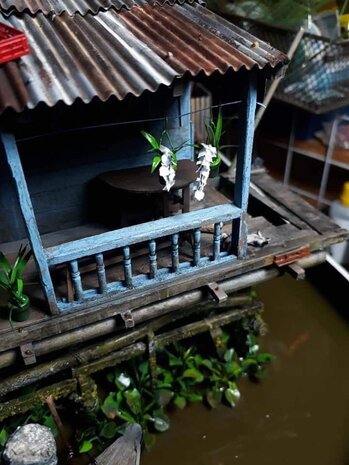 photo :Giang Xuan Le