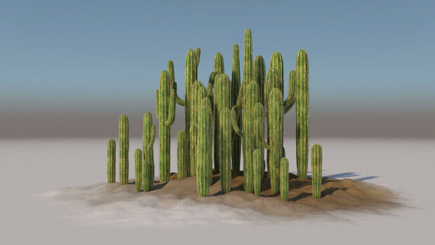 Cactus set A