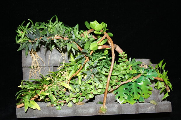 Jungle foliage set