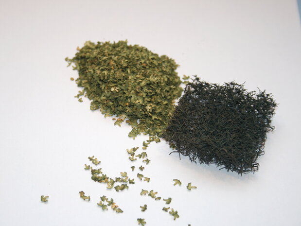 Fine small green leaves