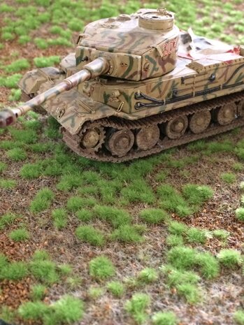 Scenery grass mat &quot;steppe Spring&quot;