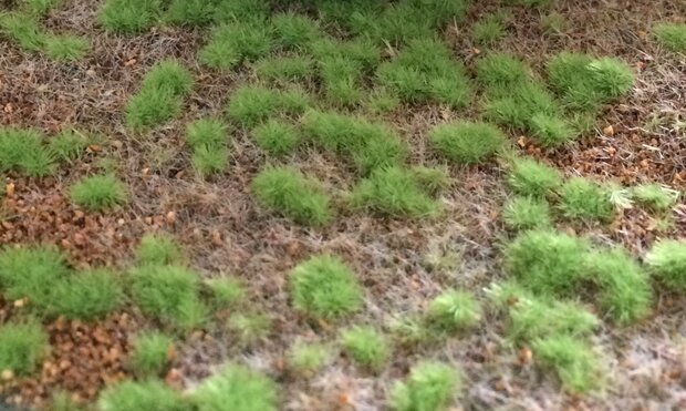 Scenery grass mat &quot;steppe Spring&quot;