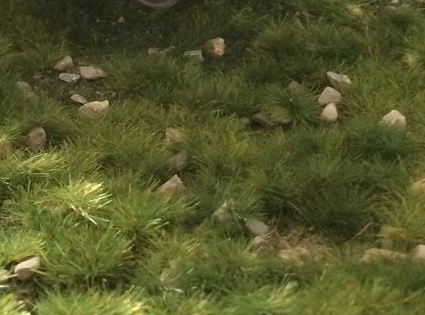 Scenery grass mat &quot;early Summer &quot; with stones