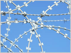 Razor wire   1/35