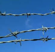 Barbed wire   1/35