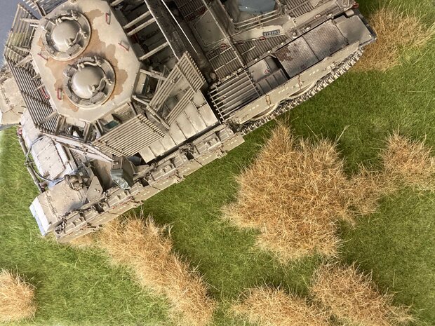 Scenery grass mat &quot;old grass&quot; Summer