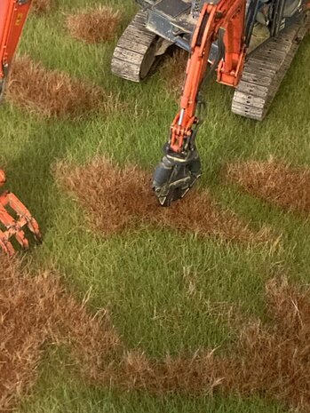 Scenery grass mat &quot;old grass&quot; late Summer 