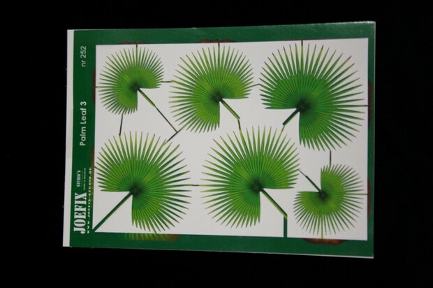 Palm leaves nr 3