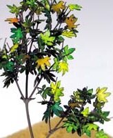 Green leaves  nr 4     1/35