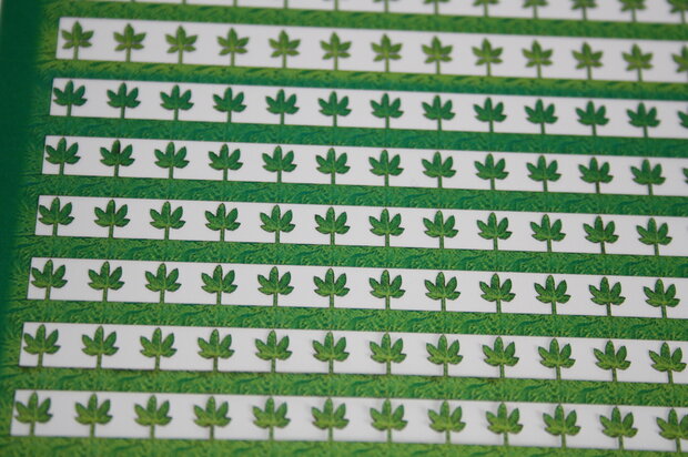 Green leaves  nr 4     1/35