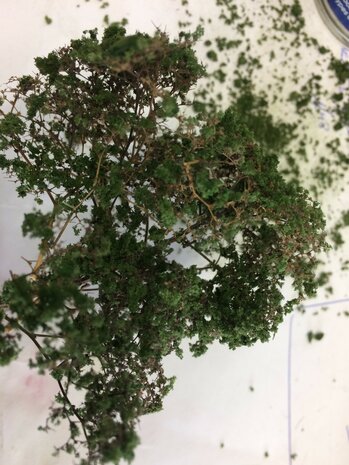 Dark green bush/ tree mousse