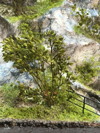 Small green leaves on twigs 3