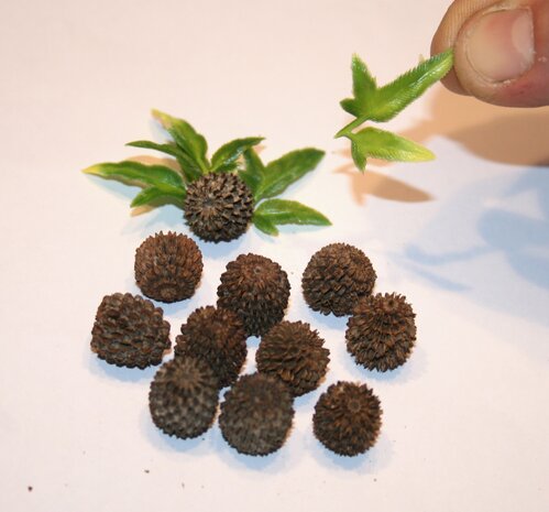 Basic piece (for 200 series)