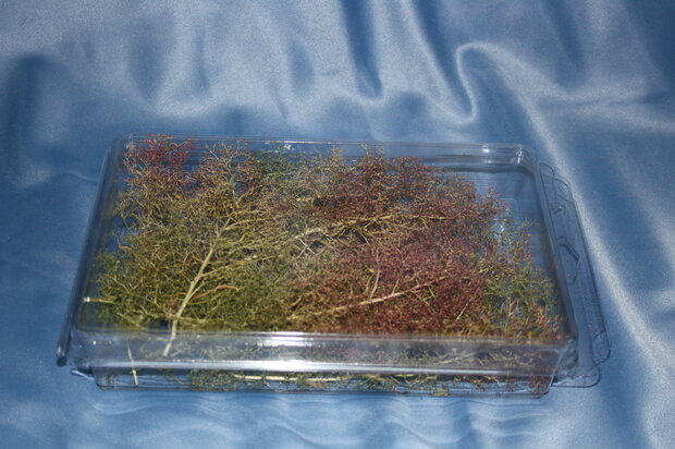 Sea foam (basic 100 series)