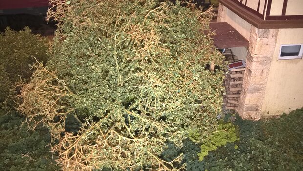 Sea foam (basic 100 series)