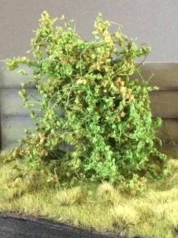 Small green leaves on twigs 2