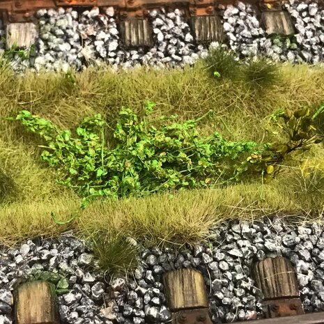 Small green leaves on twigs 2