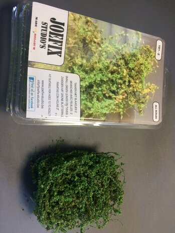 Small green leaves on twigs 2