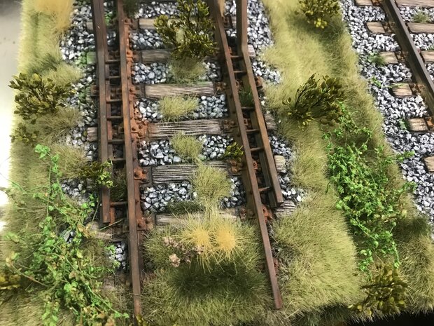 Small green leaves on twigs 2