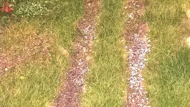  Green grass tufts (+/- 260 tuffts) 10-12mm