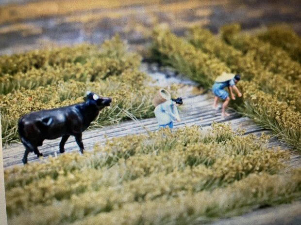  Yellow flowering stripes (12 stripes)