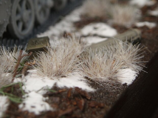  Winter coloured grass tufts (+/- 260)