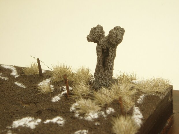  Winter coloured grass tufts (+/- 260)